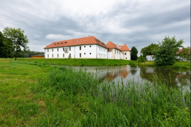 Rákóczi várkastély - Borsi