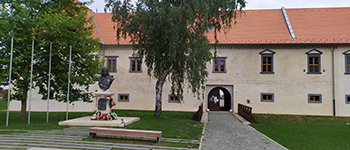 Rákóczi kastély, Borsi